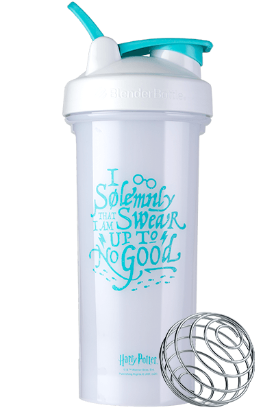 harry-potter-pro-series-g5 harry-potter-harry-potter-licensed-i-solemnly-swear-625653.png